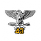 Colonel Service Star 43