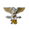 Colonel Service Star 75